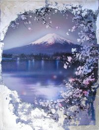 Fuji Cherry Blossoms