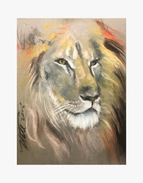 Lion Pastel 1